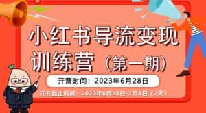 【推荐】小红书导流变现营,公域导私域,适用多数平台,一线实操实战团队总结,真正实战,全是细节!-优优云创网