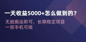一天收益5000+怎么做到的?无脑搬运即可,长期稳定项目,一部手机可做【揭秘】-优优云创网