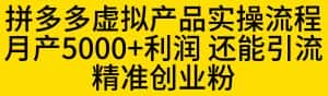 拼多多虚拟产品实操流程，月产5000+利润，还能引流精准创业粉【揭秘】-优优云创网