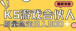 （7068期）快手游戏合伙人新项目，新手小白也可日入300+，工作室可大量跑-优优云创网