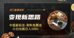 冷门蓝海项目-中医新玩法-资料免费送小白也能日入500+【揭秘】-优优云创网