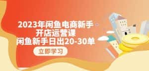 2023年闲鱼电商新手开店运营课：闲鱼新手日出20-30单（18节-实战干货）-优优云创网
