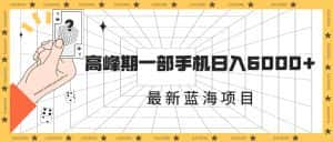 (7087期)最新蓝海项目,一年2次爆发期,高峰期一部手机日入6000+(素材+课程)-优优云创网