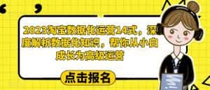 2023淘宝数据化运营14式,深度解析数据化知识,帮你从小白成长为高级运营-优优云创网