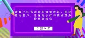 破解小红书运营的流量密码,揽获意向客户,让你的小红书高点赞多粉丝高转化-优优云创网