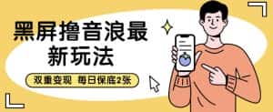 黑屏撸音浪最新玩法，双重变现，每日保底2张【揭秘】-优优云创网