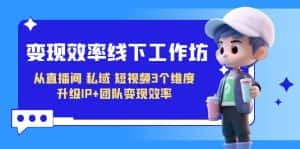 (7095期)变现-效率线下工作坊,从直播间、私域、短视频3个维度 升级IP+团队变现效率-优优云创网