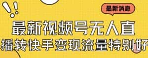 (7104期)最新视频号无人直播转快手变现美女玩法日入500+【教程+素材】-优优云创网