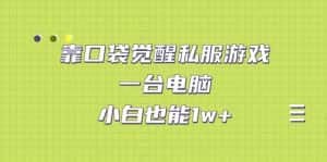 (7113期)靠口袋觉醒私服游戏,一台电脑,小白也能1w+(教程+工具+资料)-优优云创网