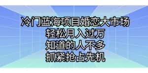 (7115期)冷门蓝海项目婚恋大市场,轻松月入过万,知道的人不多,抓紧抢占先机。-优优云创网