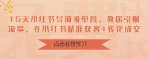 16天小红书导流接单营,教你引爆流量,在小红书精准获客+转化成交-优优云创网