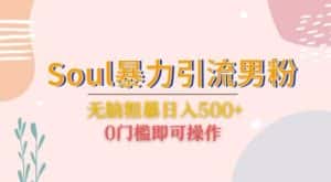 Soul暴力引流男粉玩法,无脑粗暴日入500+,0门槛即可操作【揭秘】-优优云创网
