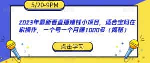 2023年最新看直播赚钱小项目，适合宝妈在家操作，一个号一个月赚1000多（揭秘）-优优云创网