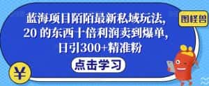 蓝海项目陌陌最新私域玩法,20 的东西十倍利润卖到爆单,日引300+精准粉【揭秘】-优优云创网