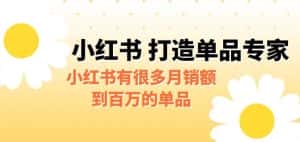 某公众号付费文章《小红书打造单品专家》小红书有很多月销额到百万的单品-优优云创网