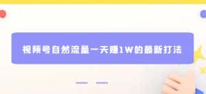 视频号自然流量一天赚1W的最新打法,基本0投资【揭秘】-优优云创网