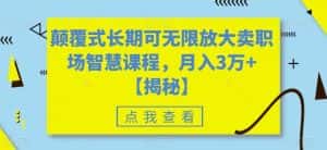 颠覆式长期可无限放大卖职场智慧课程，月入3万+【揭秘】-优优云创网