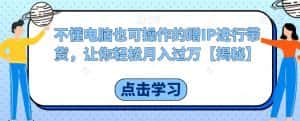 不懂电脑也可操作的蹭IP进行带货,让你轻松月入过万【揭秘】-优优云创网