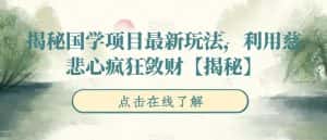揭秘国学项目最新玩法,利用慈悲心疯狂敛财【揭秘】-优优云创网