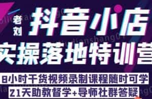 老刘·抖店商品卡流量,抖音小店实操落地特训营,8小时干货视频录制课程随时可学-优优云创网