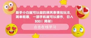 新手小白就可以做的搞笑表情包玩法，简单粗暴，一部手机就可以操作，日入300【揭秘】-优优云创网