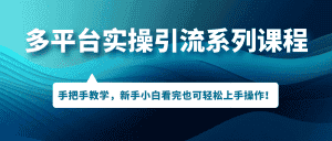 (7170期)多平台实操引流系列课程,手把手教学,新手小白看完也可轻松上手引流操作!-优优云创网