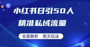 全面解析小红书图文引流日引50私域流量【揭秘】-优优云创网