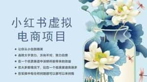 小红书虚拟电商从0到1,让你从小白到精英(20节实操课程)-优优云创网
