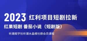 2023红利项目短剧拉新,听潮阁学社月入过万红果短剧番茄小说CPA拉新项目教程【揭秘】-优优云创网