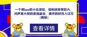 一个很low的小众项目,但利润非常巨大,闷声发大财的首选副业,操作的好月入过万【揭秘】-优优云创网