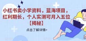 小红书卖小学资料,蓝海项目,红利期长,个人实测可月入五位【揭秘】-优优云创网