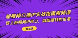 (7202期)短视频口播IP实战指南视频课,踩上短视频IP风口,做能赚钱的生意(22节课)-优优云创网
