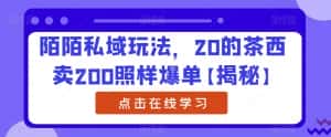 陌陌私域玩法,20的茶西卖200照样爆单【揭秘】-优优云创网