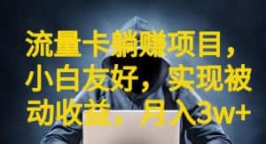 流量卡躺赚项目，小白友好，开设后台，实现被动收益，只要出卡，就能一直赚钱，利润高昂【揭秘】-优优云创网