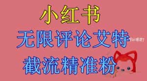 小红书无限评论艾特截流精准粉（软件+教程）-优优云创网
