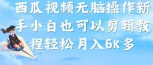 (7206期)西瓜视频搞笑号,无脑操作新手小白也可月入6K-优优云创网
