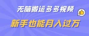 无脑搬运多多视频，新手也能月入过万【揭秘】-优优云创网
