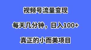 (7212期)视频号流量变现,每天几分钟,收入100+,真正的小而美项目-优优云创网