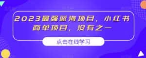 2023最强蓝海项目,小红书商单项目,没有之一【揭秘】-优优云创网