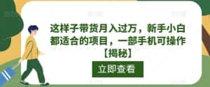 这样子带货月入过万,新手小白都适合的项目,一部手机可操作【揭秘】-优优云创网