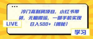 冷门高利润项目,小红书带货,无脑搬运,一部手机实现日入500+【揭秘】-优优云创网