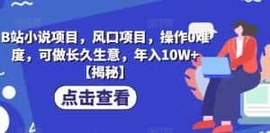 B站小说项目，风口项目，操作0难度，可做长久生意，年入10W+【揭秘】-优优云创网