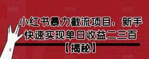 小红书暴力截流项目，新手快速实现单日收益二三百【仅揭秘】-优优云创网
