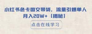 小红书色卡图文带货,流量引爆单人月入20W+【揭秘】-优优云创网
