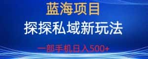 蓝海项目,探探私域新玩法,一部手机日入500+很轻松【揭秘】-优优云创网