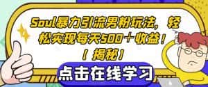 Soul暴力引流男粉玩法，轻松实现每天500＋收益！【揭秘】-优优云创网