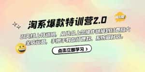 （7250期）淘系爆款特训营2.0【第六期】从选品上架到付费放大 全店运营 打爆款 做好店-优优云创网