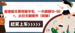 极速版无费用薅羊毛,一天躺赚10-50+,小白无脑操作【拆解】-优优云创网