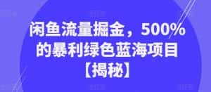 闲鱼流量掘金,500%的暴利绿色蓝海项目【揭秘】-优优云创网