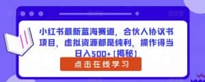 小红书最新蓝海赛道,合伙人协议书项目,虚拟资源都是纯利,操作得当日入500+【揭秘】-优优云创网
